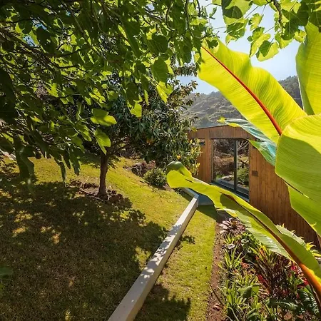 Botanica Living Magnolia *