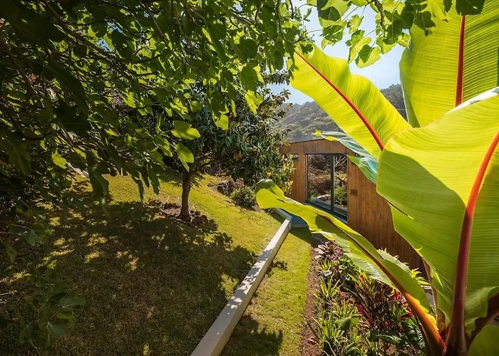 Botanica Living Magnolia *