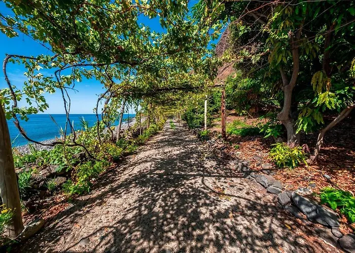 Botanica Living Magnolia * Quinta Grande